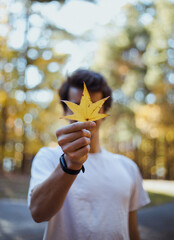 Autumn leaf 