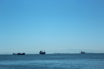 Istanbul Islands, island landscapes, seagulls, cargo ships and sailboats in the sea, black-winged seagulls soaring from the sky, Adalar Istanbul Turkey