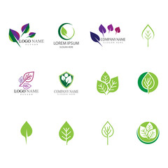 Logos of green Tree leaf ecology nature element vector