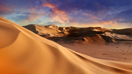 Foto op Canvas Panorama van zandduinen Sahara woestijn bij zonsondergang. Eindeloze duinen van geel zand. Woestijnlandschap Golven zand natuur © Mikael Damkier