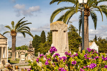Fototapeta na wymiar Blütenpracht und Palmen auf einem Friedhof auf Spaniens Insel Mallorca