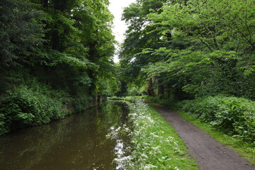 the tow path of the Staffordshire and Worcestershire canal near Stourton