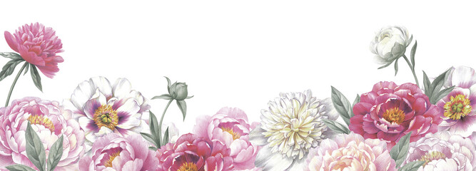 Colored pencil border with peonies on white background. Floral vintage arrangement. Hand drawn botanical illustration for greeting cards, wedding invitation cards and summer backgrounds. 