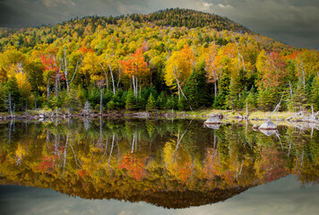 A reflection pond surrounded by hardwood trees in the autumn season showing peak fall colors in...