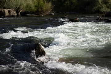 Fototapeta premium the flow