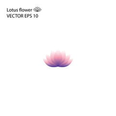 Lotus flower vector eps10, gradient color logo, isolated on white background. Water lily translusent flower, design element.