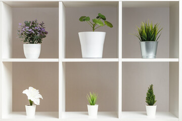 White shelves with potted plants. Home interior, decor elements.