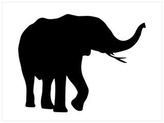 elephant vector black image