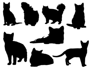 Free Vector Flying cats Silhouette