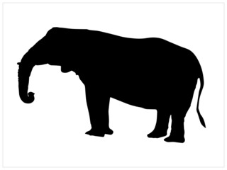 Vector black and white illustration of a elephant