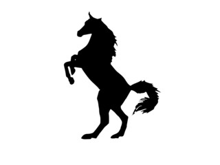 Cute little horse Free Vector