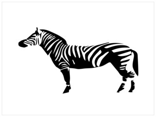 Fototapeta na wymiar Cute little Zebra Free Vector
