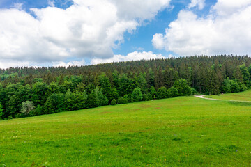 Wanderung zum Hochmoor bei Oberhof im Thüringer Wald - Thüringen - Deutschland