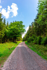 Wanderung zum Hochmoor bei Oberhof im Th&uuml;ringer Wald - Th&uuml;ringen - Deutschland
