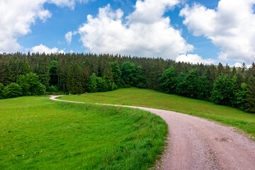 Fototapeta na wymiar Wanderung zum Hochmoor bei Oberhof im Thüringer Wald - Thüringen - Deutschland
