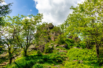 Wanderung zum Hochmoor bei Oberhof im Thüringer Wald - Thüringen - Deutschland
