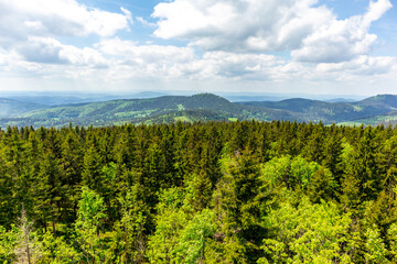 Wanderung zum Hochmoor bei Oberhof im Thüringer Wald - Thüringen - Deutschland