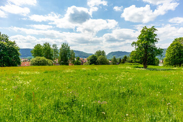 Wanderung zum Hochmoor bei Oberhof im Thüringer Wald - Thüringen - Deutschland