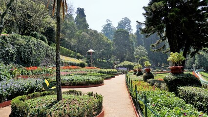 Beautiful Government botanical gardens in Ooty, Tamilnadu, India.