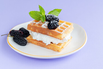 Close-up of delicious belgian waffles with whipped cream, mulberries and mint leaf. Waffle sandwich on a plate on lilac background.