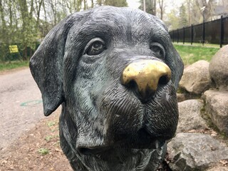 ZELENOGORSK, RUSSIA - MAY 11, 2020: Dog sculpture closeup