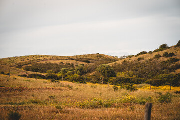 Wilde Hügellandschaft im Hinterland