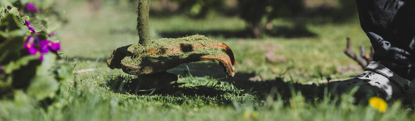 Banner. A human lawn mower cuts the grass in the backyard. Agricultural machinery for the care of the garden.