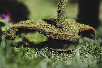 Banner. A human lawn mower cuts the grass in the backyard. Agricultural machinery for the care of the garden.