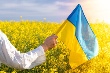 A Ukrainian farmer holds a flag of Ukraine over a blooming farmland on a sunny day, The concept of...