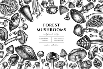 Forest mushrooms hand drawn illustration design. Background with sketch mushrooms, fly agaric, blewit, etc.