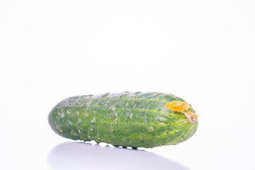 fresh green cucumber with pimples on a white background, the concept of healthy food and non-gmo products, selective focusing, macro photos from different angles, reflection on white