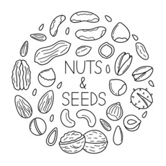 Hand drawn set of nuts and seeds doodle. Almond, hazelnut, pistachio, macadamia, cashew, walnut in sketch style.  Vector illustration isolated on white background