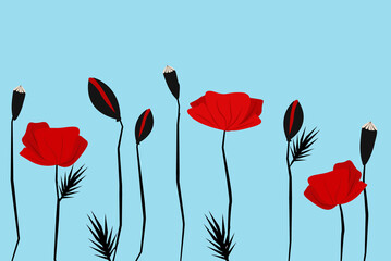 illustration of red poppies on a blue background with place for text.

