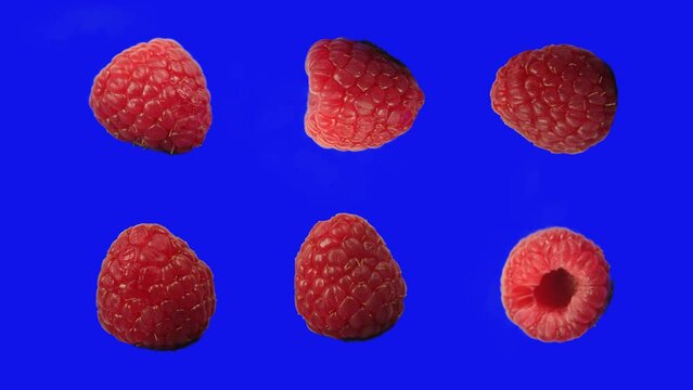 raspberry spinning, different angles for compositing