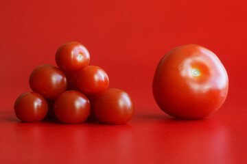 Size comparison of red cherry tomatoes and a normal traditional tomato against a bright red background. Copy space.