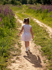 Cute little girl in a white dress is walking along a forest road, in a field, among flowers, lupines. Bright happy summer day. Rear view. Girl with ponytails walks along a dirt road. Village holidays