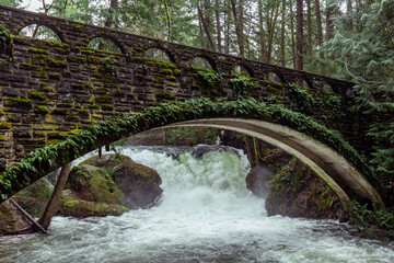 Green Bridge over Rapids