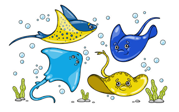 Various stingrays on a white background. Vector illustration on a sea theme in a cartoon childish style.
