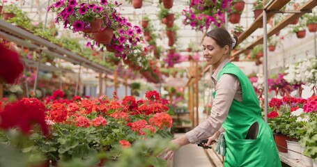 Super slow motion of a young woman worker gardening in flower greenhouse, watering flowers and enjoying in beautiful colorful flowers. Woman entrepreneur. - Powered by Adobe