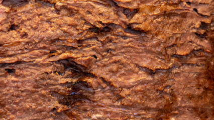Doner kebab meat texture, close up