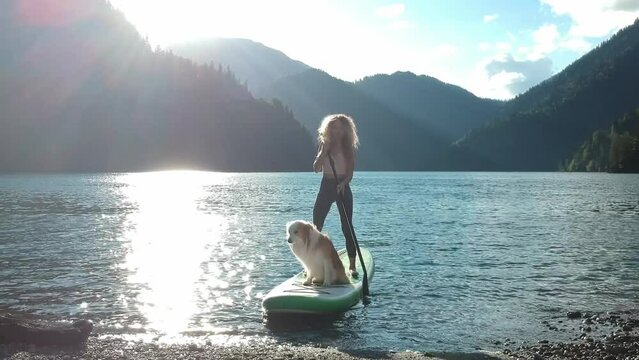 Aerial drone view of pretty fit woman paddle on sup board at mountain lake during sunset with her dog raises his hands up with an oar. Female silhouette doing water sport during summer holidays