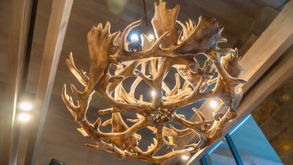 Unusual chandelier made of deer horns or antlers hanging indoors of home or hotel. Suspension light made from horn.