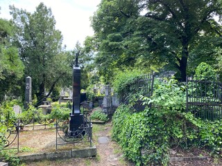 Old cemetery on the Karadjordje Hill / Smederevsko Staro groblje na Karađorđevom brdu ili Staro groblje u Smederevu, Smederevo - Serbia (Srbija)