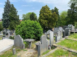 Old cemetery on the Karadjordje Hill / Smederevsko Staro groblje na Karađorđevom brdu ili Staro groblje u Smederevu, Smederevo - Serbia (Srbija)