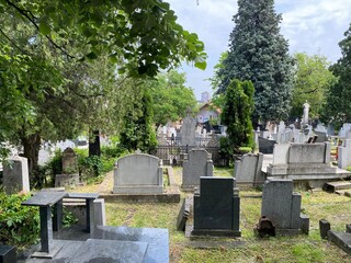 Old cemetery on the Karadjordje Hill / Smederevsko Staro groblje na Karađorđevom brdu ili Staro groblje u Smederevu, Smederevo - Serbia (Srbija)