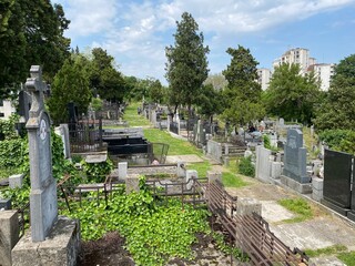 Old cemetery on the Karadjordje Hill / Smederevsko Staro groblje na Karađorđevom brdu ili Staro groblje u Smederevu, Smederevo - Serbia (Srbija)