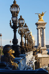 Fototapeta na wymiar The lampposts of famous Alexandre III bridge , Paris, France