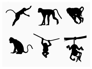 Set of Monkey Design Vector. Silhouette of Illustration Stock Vector for Free EPS