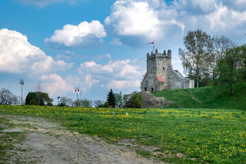 Castle in Nowy Sącz, Poland. - obrazy, fototapety, plakaty