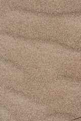 vertical texture of sand with litters